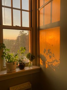 some plants are sitting on a window sill