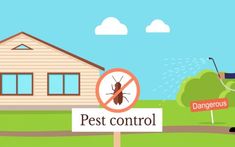 Professional pest control companies Rat Control, Bees And Wasps, Pest Control Services