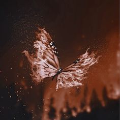 a butterfly flying through the air on fire