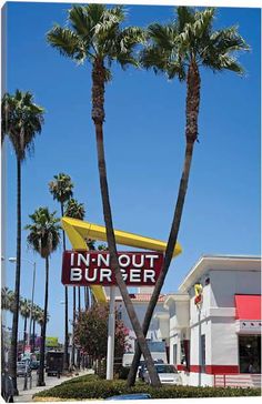 palm trees in front of a restaurant with a sign that says inn out burgerer