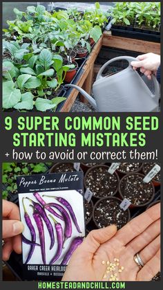 someone is watering their plants in the garden with text overlay that reads 9 super common seed starting mistakes how to avoid correct them