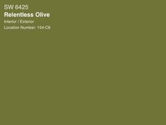 an image of the back cover of a book with words that read,'reentless olive '