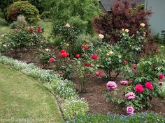 a garden filled with lots of flowers next to a house