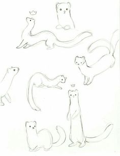 four different types of animals are shown in this drawing