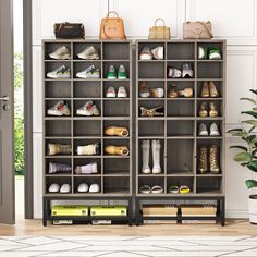 an open bookcase with shoes and purses on it next to a potted plant