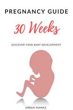 the pregnant woman's guide to 32 weeks