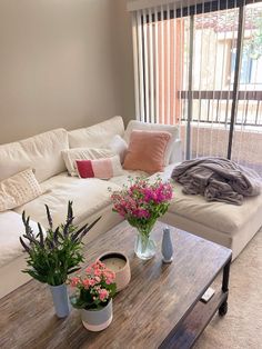 two potted plants sit on a coffee table in front of a couch and window