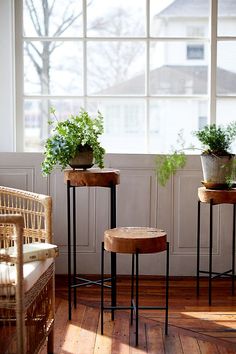 two stools with plants on them in front of a window