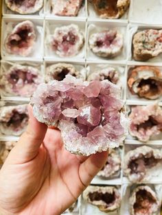 Lavender tone Pink Amethyst Geodes from Argentina 🌸 You will receive the exact item chosen ✨ Lavender Amethyst Crystals As A Gift, Lavender Amethyst Crystals For Gift, Large Amethyst Geode As Gift, Lavender Amethyst Geodes For Spiritual Use, Purple Geodes With Natural Stones, Luxury Natural Purple Geodes, Purple Amethyst Geodes With Natural Stones, Tourmalated Quartz, Large Amethyst Geode