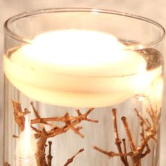 a lit candle in a glass filled with water and branches on the inside of it