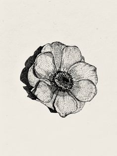 Stipple effect flower / Pointillism effect illustration Dot Painting Black And White, High Contrast Pointillism Tattoo, Flower Stippling Art, Stippling Art Flowers, Pointilism Tattoos Design, Dot Work Flower Tattoo, Small Dot Work Tattoo, Stippling Art Nature, Stippling Drawing Artworks