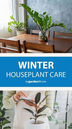 a woman holding a plant in her hands with the words winter houseplant care