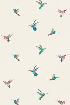 a flock of hummingbirds flying through the sky with their wings spread out and looking for food