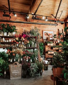 a room filled with lots of potted plants