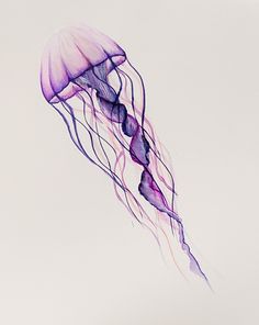 a purple jellyfish floating in the air on a white background with watercolors