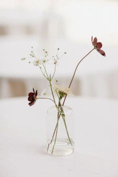 two flowers in a glass vase on a white tablecloth covered table with blurry background