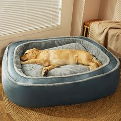 a dog is laying in his bed on the floor