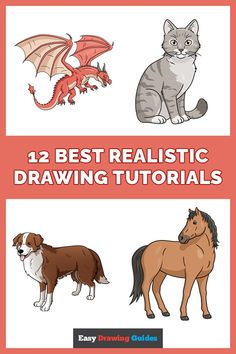 four different types of dogs and cats with the text, 4 best realistic drawing tutors