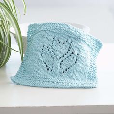 a blue knitted pot holder sitting on top of a table next to a plant