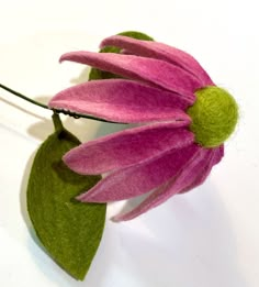 a pink flower with green leaves on a white surface