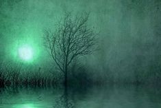 a painting of a tree in the middle of a body of water with green light coming from behind it