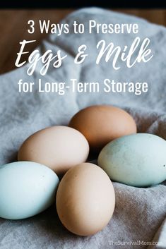 Preserve Eggs, Preserving Eggs, Survival Prepping Diy, Storing Eggs, Ball Blue Book, Freezing Eggs, Powdered Eggs, Emergency Food Storage, Long Term Storage