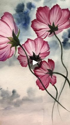 some pink flowers on a white and blue background with clouds in the sky behind them