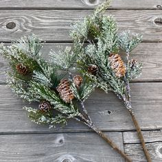 two pine cones and some branches with snow on them sitting on a wooden surface,