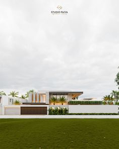 a modern house with grass and palm trees in the front yard on a cloudy day