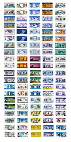 multiple license plates are arranged in rows on a white background, each with different numbers