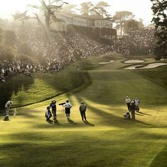 a group of people standing on top of a lush green field next to a golf course