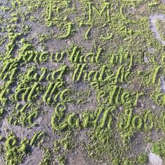 an aerial view of moss growing on the ground with words written in cursive writing