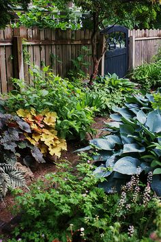 a garden filled with lots of plants next to a wooden fence