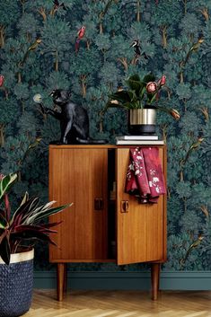 a cat sitting on top of a wooden cabinet next to a potted plant and wallpaper