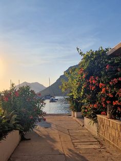 the sun is setting over some flowers and boats on the water in the back ground