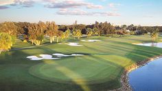 an aerial view of a golf course with water in the foreground and palm trees on either side