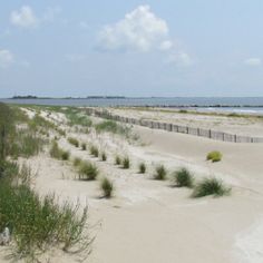 the beach is lined with sand and grass