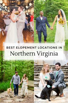 the best wedding locations in northern virginia with pictures of bride and groom walking their dog