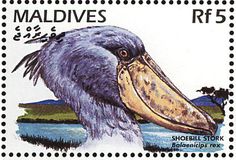 a postage stamp with an image of a pelican's head and beak