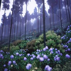 a painting of blue flowers in the woods