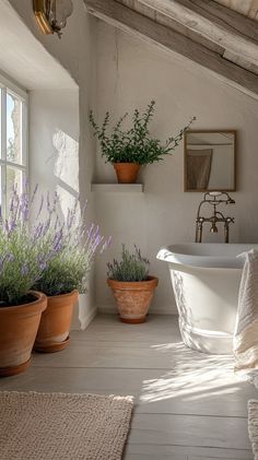 Elegant bathroom featuring French country decor, rustic elements, and serene ambiance. French Country Bathroom Ideas, Country Bathroom Ideas, Country Bathroom Designs, French Country Ideas, French Bathroom, White Wainscoting, French Country Bathroom, Funny Bathroom Art, Serene Bathroom