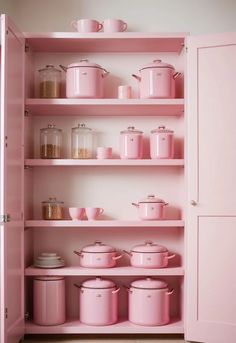 pink kitchen shelving with pots and pans