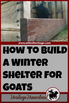 an image of how to build a winter shelter for goats with text overlay that reads, how to build a winter shelter for goats