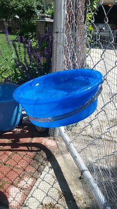 two blue plastic bowls sitting on the ground next to a wire fence and purple flowers