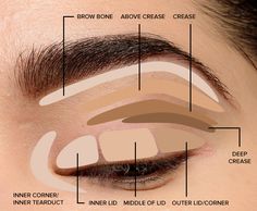 Machiaj Smokey Eyes, Basic Eye Makeup, Blend Eyeshadow, Beginner Eyeshadow, Parts Of The Eye