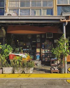 a store front with potted plants on the outside and an awning over it