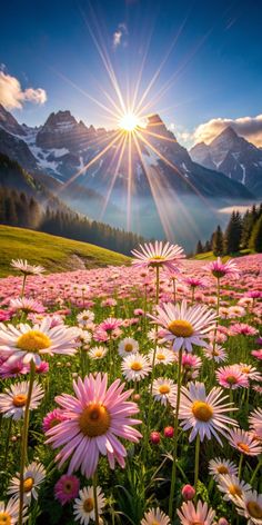 the sun shines brightly over a field of wildflowers with mountains in the background