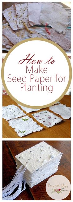 how to make seed paper for planting