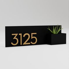 a black and gold house number sign next to a potted aloei plant