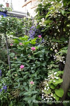 the garden is full of colorful flowers and greenery, including plants that are growing along the fence